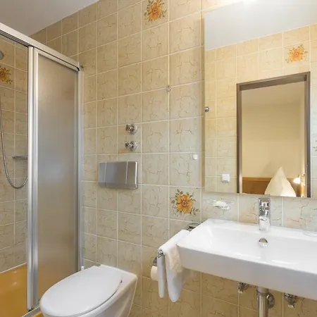 Penzion Gaestehaus Carola 3*